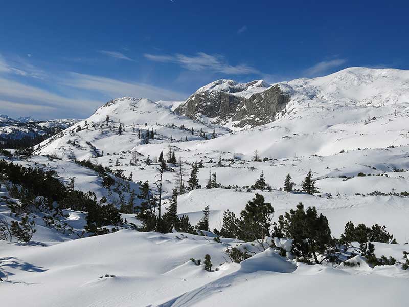 Buchbergkogel